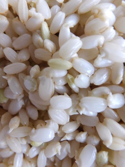 玄米ダイエット　発芽玄米の作り方